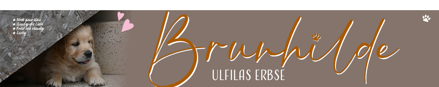 Ulfilas Golden Retriever