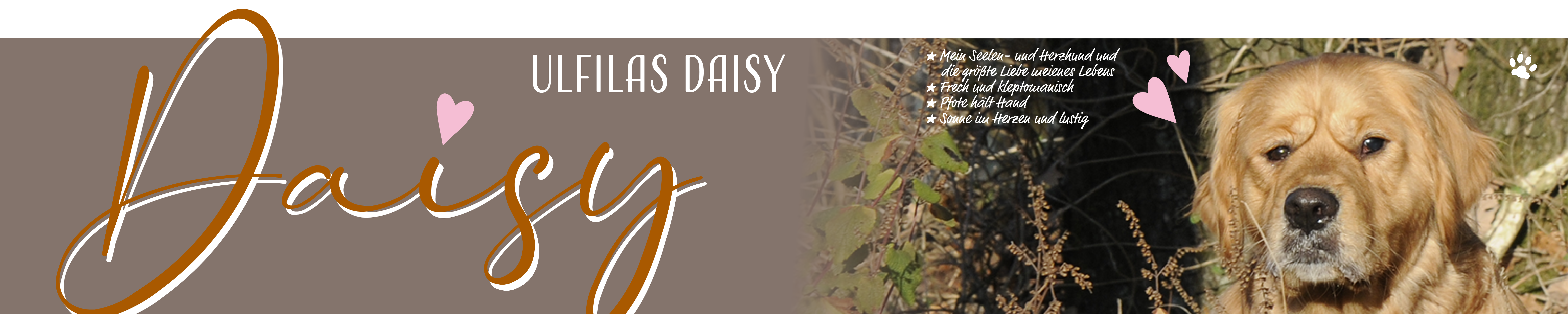 Ulfilas Golden Retriever