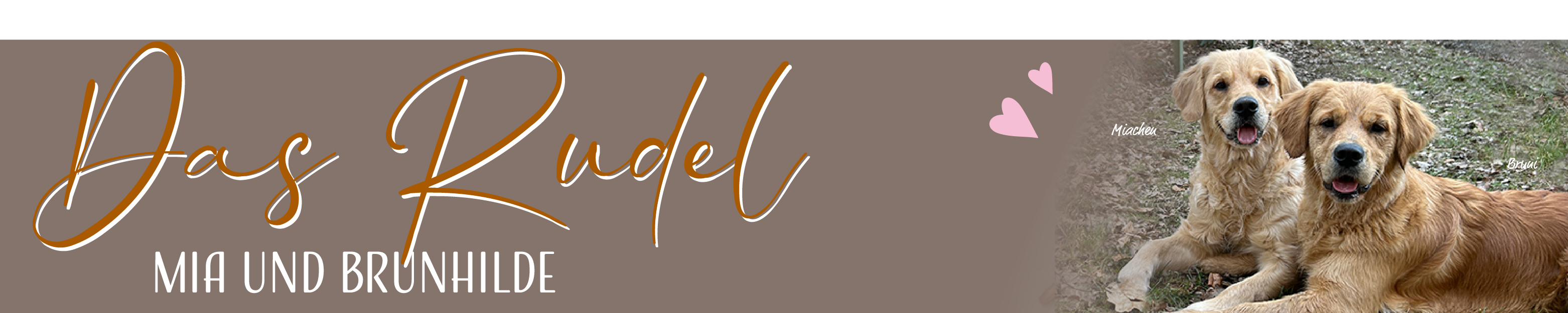 Ulfilas Golden Retriever