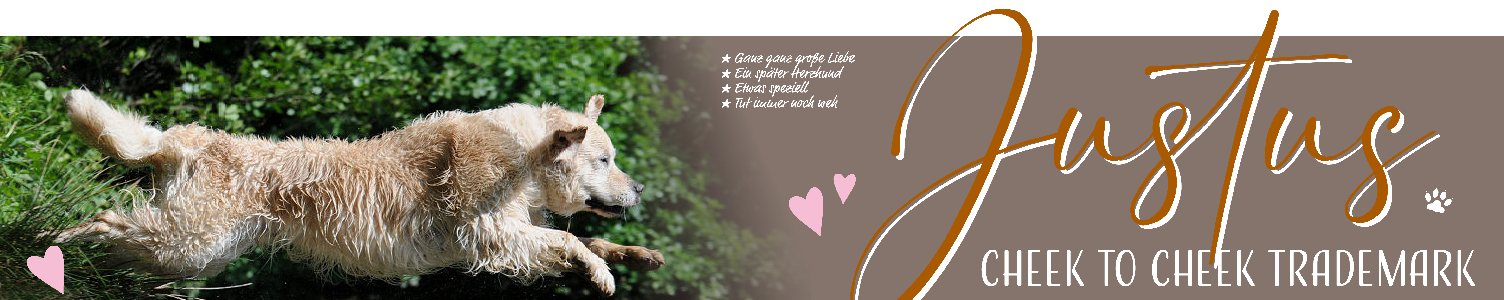 Ulfilas Golden Retriever