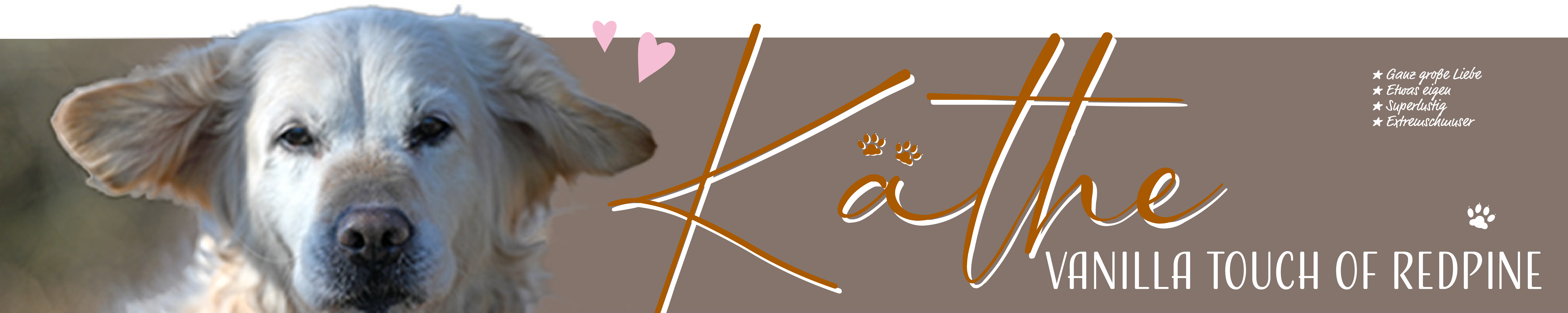 Ulfilas Golden Retriever