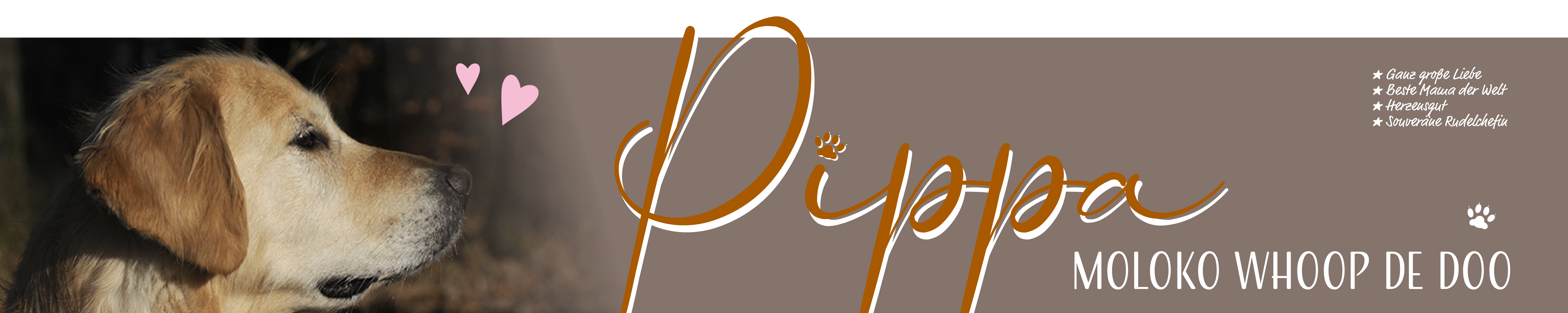 Ulfilas Golden Retriever