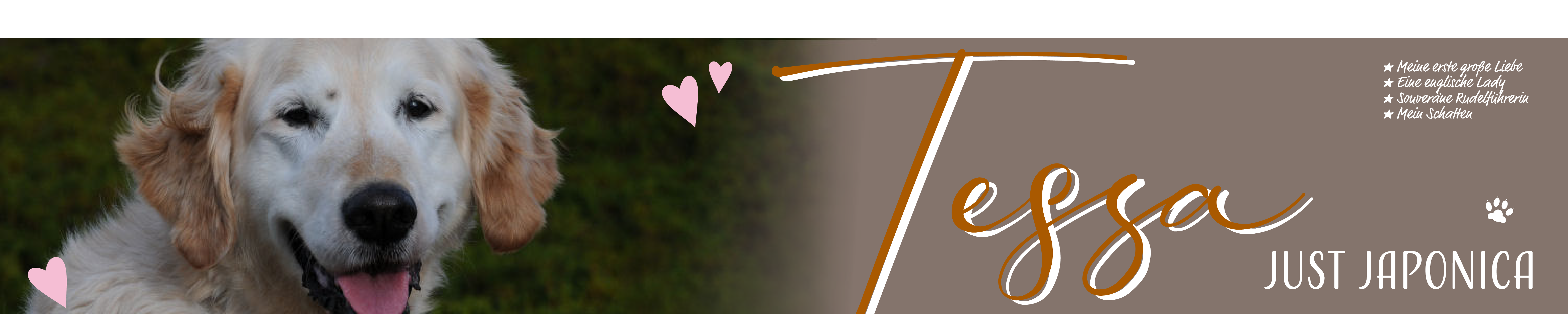 Ulfilas Golden Retriever