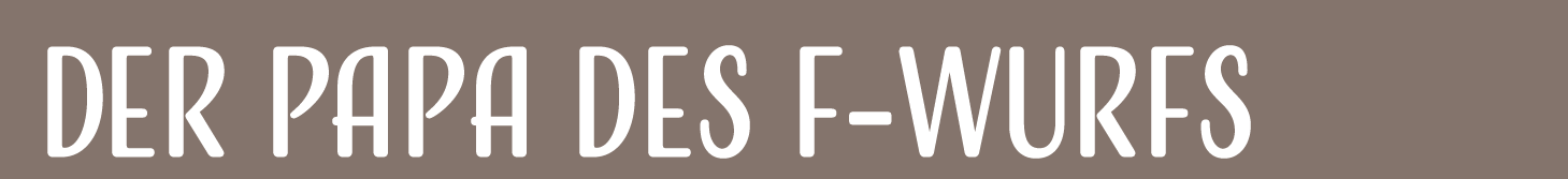 Der Papa des F-Wurfs