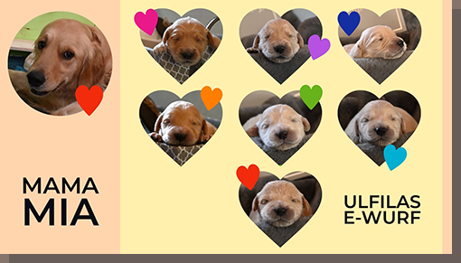 Die sieben E-chen, 1 Woche alt mit Mama Mia