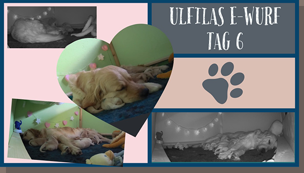 Die sieben E-chen und Mama Mia