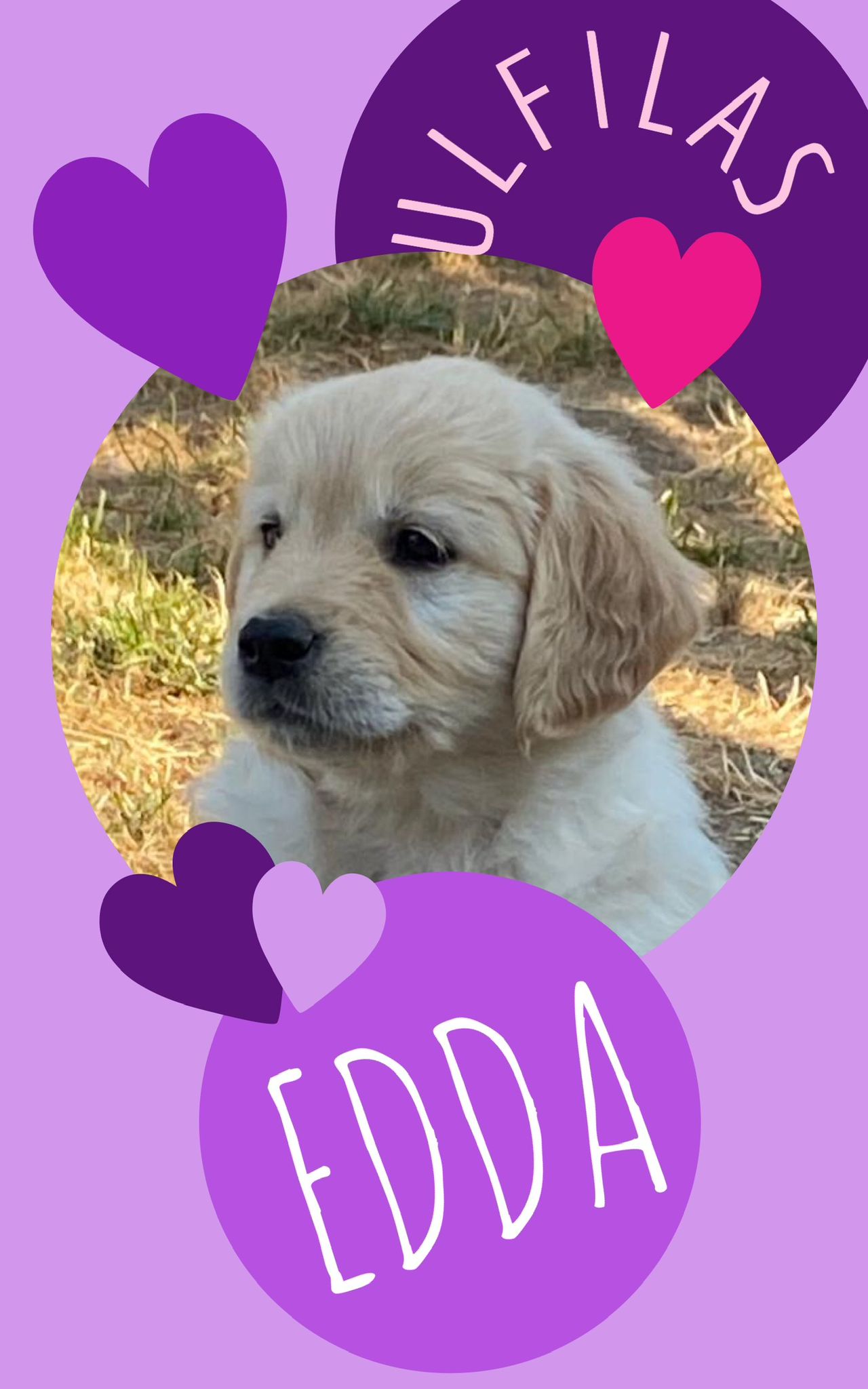 Edda