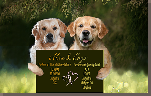 Mia (links) und EnZo