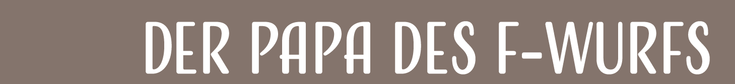 Der Papa des F-Wurfs