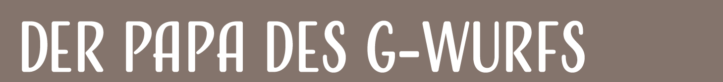 Der Papa des F-Wurfs