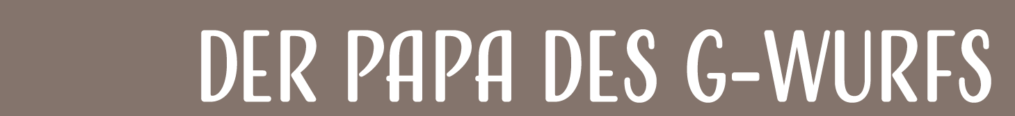 Der Papa des G-Wurfs